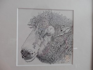 173 Schaap P2010242 (Small)