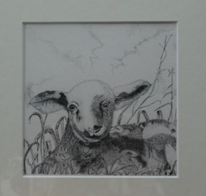 174 Lammetje DSC_0039 (Small)